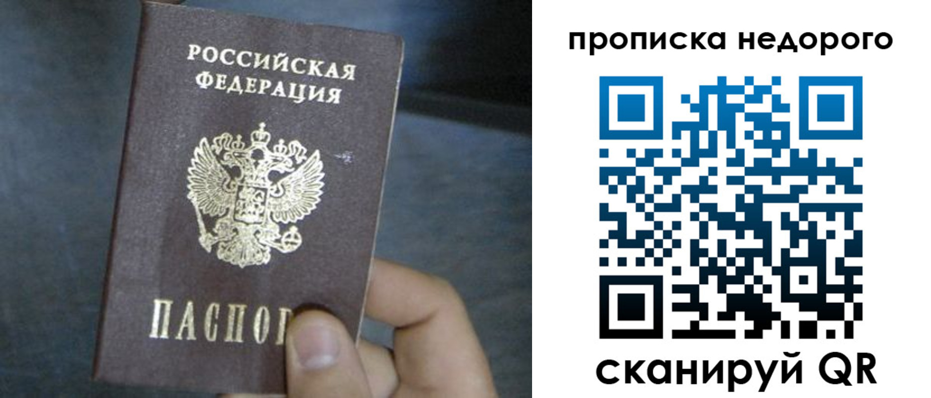 прописка ребенка в Владимирской области